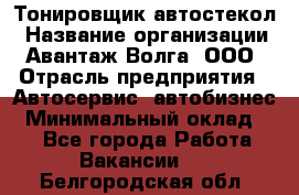 Тонировщик автостекол › Название организации ­ Авантаж-Волга, ООО › Отрасль предприятия ­ Автосервис, автобизнес › Минимальный оклад ­ 1 - Все города Работа » Вакансии   . Белгородская обл.